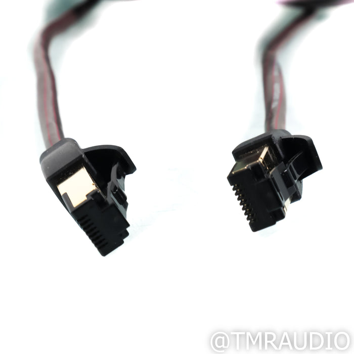 AudioQuest Cinnamon Ethernet Digital Cable; Single 8m Interconnect; RJ/E