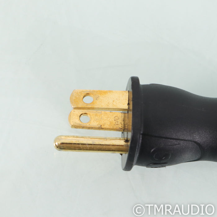 AudioQuest NRG-2 Power Cable; 3m AC cord