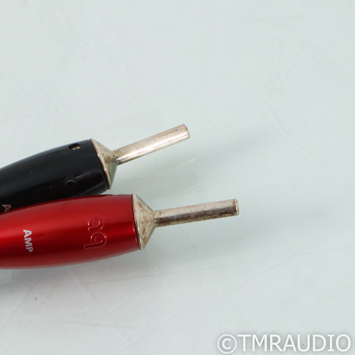 AudioQuest Robin Hood ZERO Speaker Cables; 10ft Pair