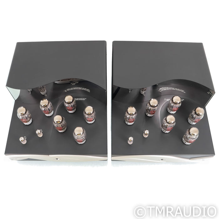 Zesto Audio Eros 300 Tube Monoblock Power Amplifiers; Pair