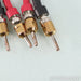 Triode Wire Labs American Series Speaker Cables; 6ft Pair