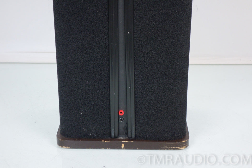 DCM QED Speaker