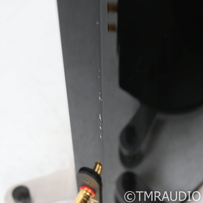 Gauder Akustik Cassiano MkII Floorstanding Speakers; Black Pair w/ Upgrades