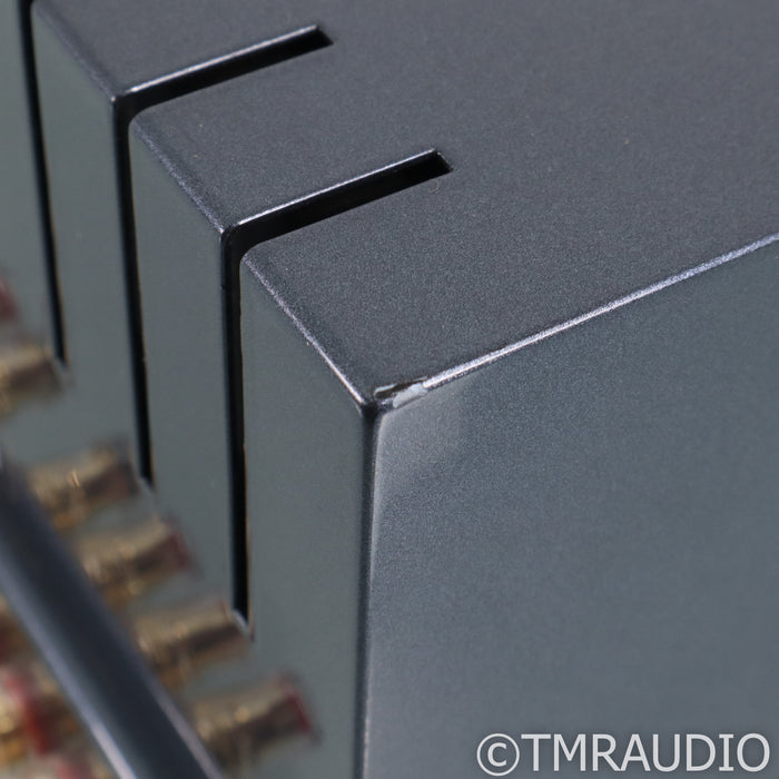 PrimaLuna EVO 400 Stereo Tube Power Amplifier