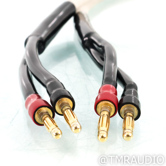 Transparent Audio MusicWave Speaker Cable; 8ft single cable