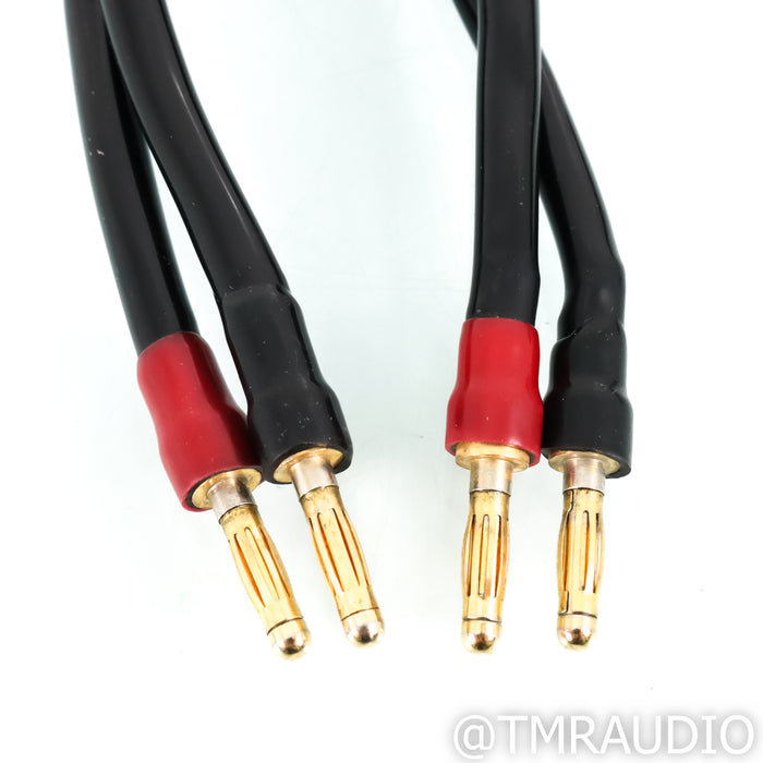 Transparent Audio MusicWave Speaker Cable; 8ft single cable