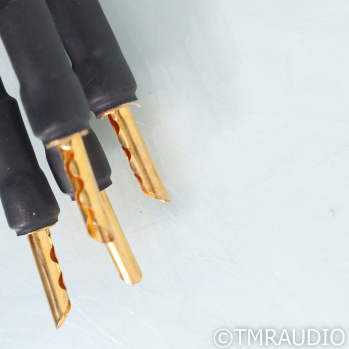 Audience Au24 SX Bi-Wire Speaker Cables; 2m Pair