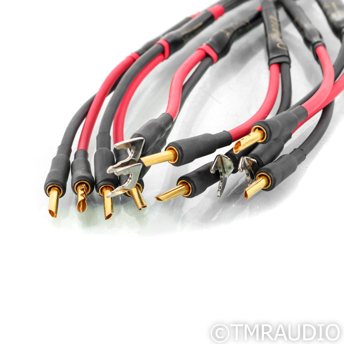 Audience Au24 SX Bi-Wire Speaker Cables; 2m Pair