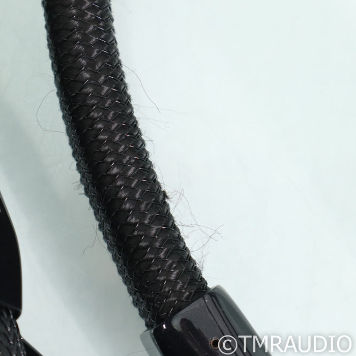 AudioQuest Dragon ZERO Speaker Cables; 8ft Pair
