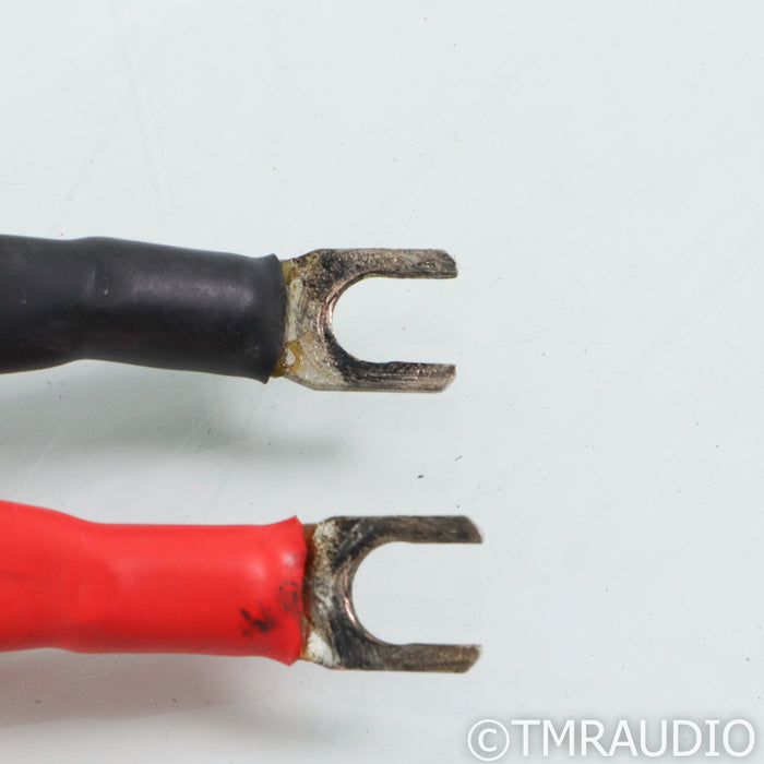 Bybee Technologies ULTRA Quantum Speaker Filter