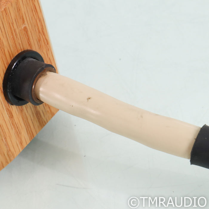 Bybee Technologies Quantum Charger; Wood