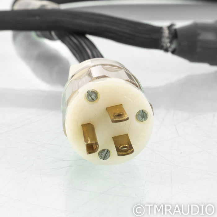 Purist Audio Design Dominus Power Cable; 2m AC Cord