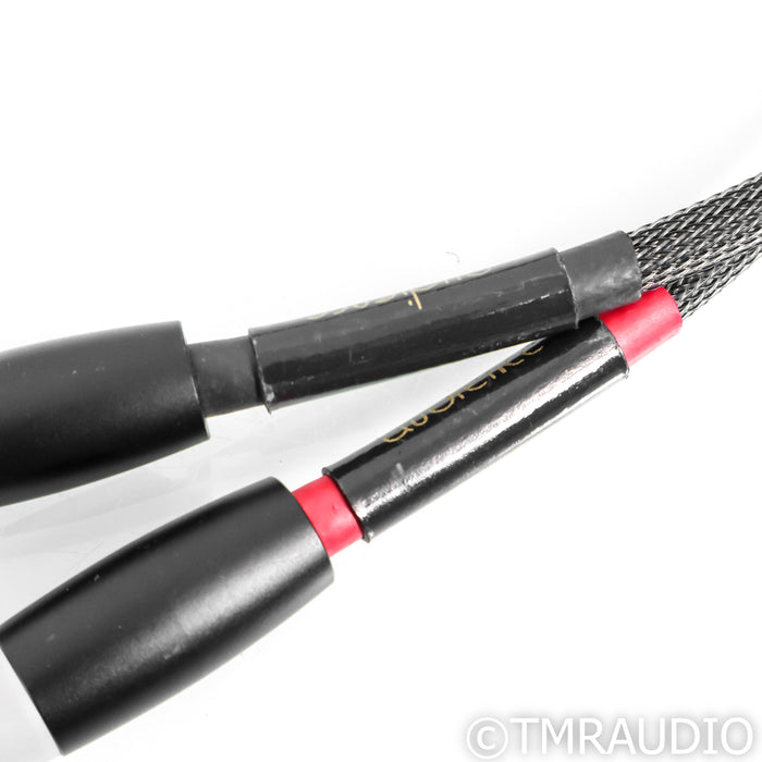 Audience Conductor SE RCA Cables; 1m Pair Interconnects