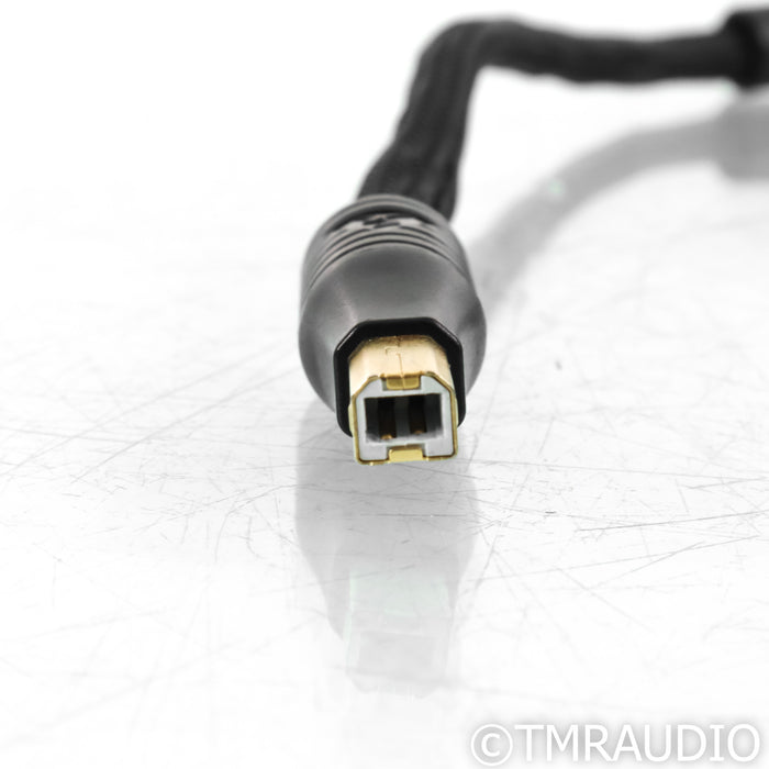 Shunyata Research Alpha V2 USB Cable; 1.5m Single