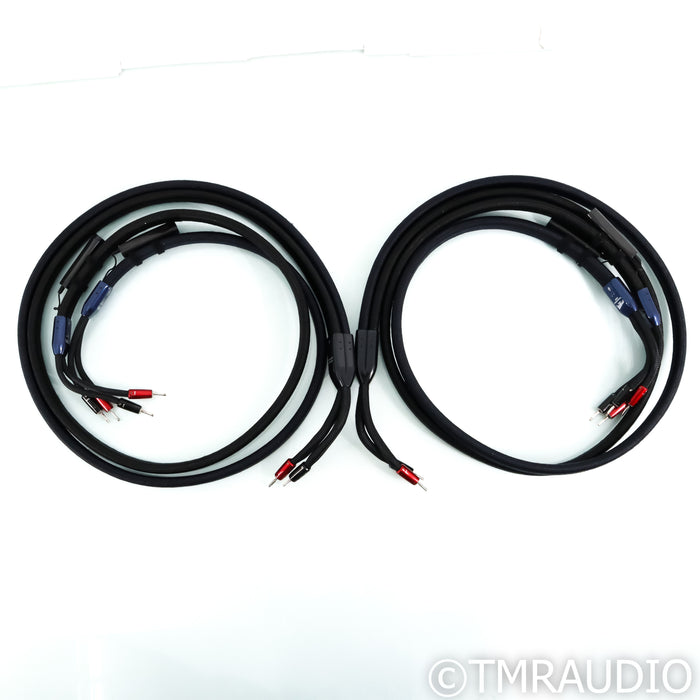 AudioQuest ThunderBird ZERO/BASS BiWire Combo Speaker Cables; 8ft Pair