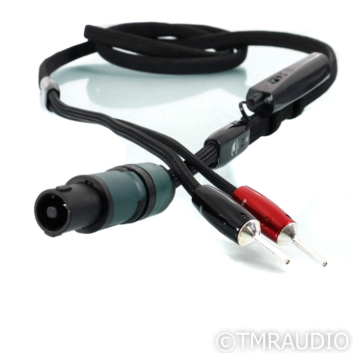 AudioQuest Robin Hood BASS Speaker Cable; 8ft Single w/ speakON Connector