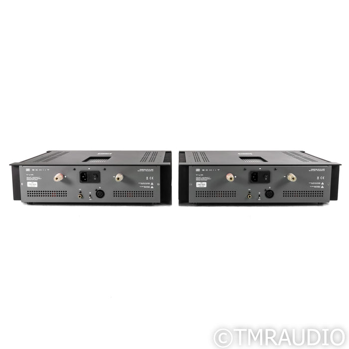 Schiit Audio TYR Monoblock Power Amplifiers; Black Pair