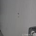 Dynaudio Contour 30 Floorstanding Speakers; Ivory Oak Pair
