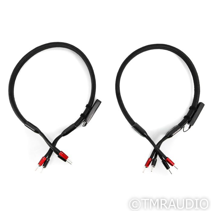 AudioQuest Dragon BASS Speaker Cables; 4ft Pair