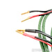Auditorium 23 Speaker Cables; 10ft Pair