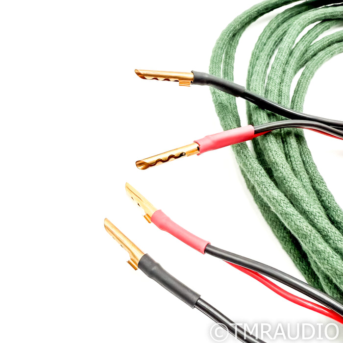 Auditorium 23 Speaker Cables; 10ft Pair