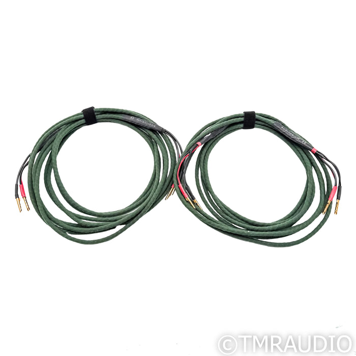 Auditorium 23 Speaker Cables; 10ft Pair