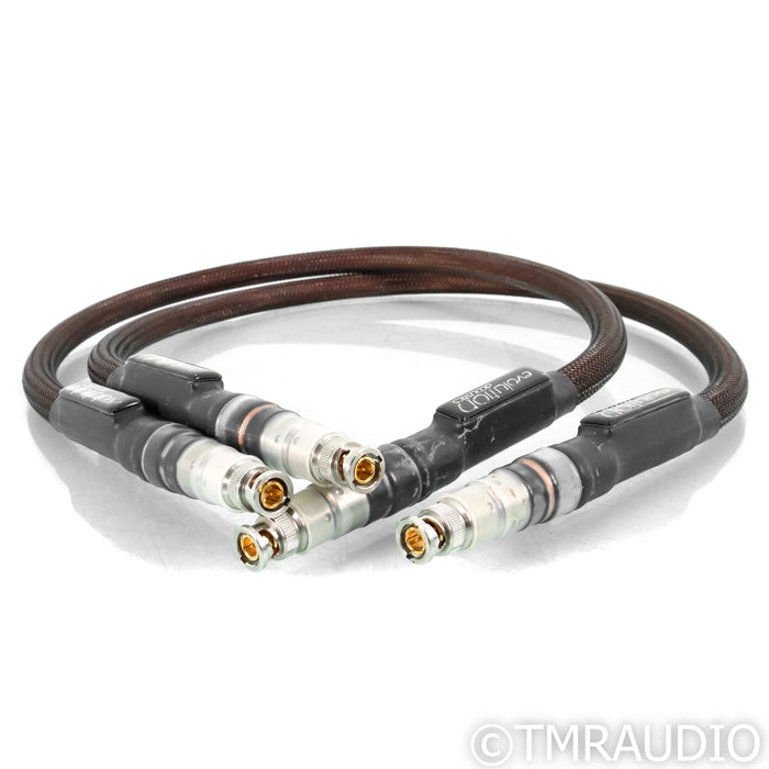 Evolution Acoustics Link BNC Cables; 1m Pair