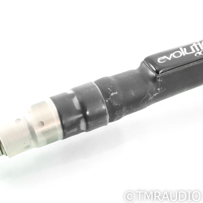 Evolution Acoustics Link BNC Cables; 1m Pair