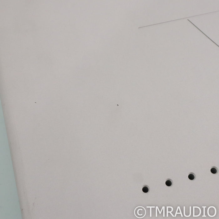 Merrill Audio Veritas Monoblock Power Amplifier; Pair