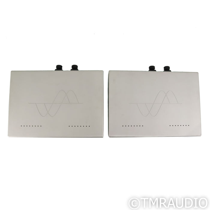 Merrill Audio Veritas Monoblock Power Amplifier; Pair