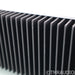 Schiit Audio Aegir Stereo Power Amplifier