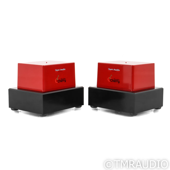 Digital Amplifier Company (DAC) Maraschino Cherry Monoblock Power Amplifiers; Pair