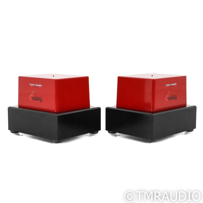 Digital Amplifier Company (DAC) Maraschino Cherry Monoblock Power Amplifiers; Pair
