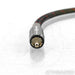 WireWorld Gold Starlight 7 Digital RCA Cable; 0.5m Single