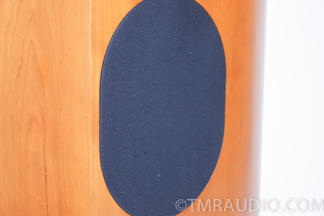 Audio Physic Tempo VI Speakers in Factory Boxes