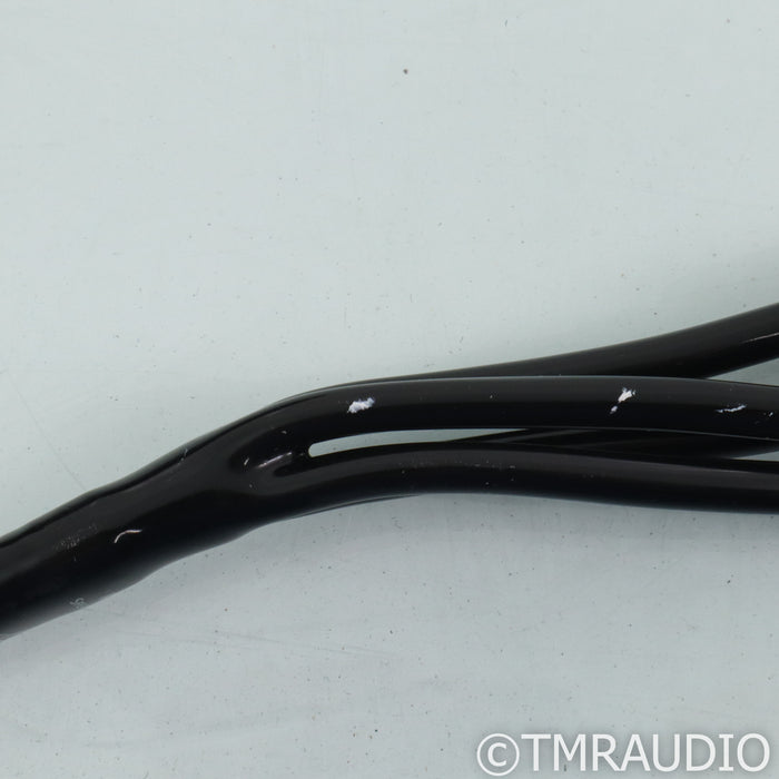 AudioQuest Rocket 33 Bi-Wire Speaker Cables; 10ft Pair