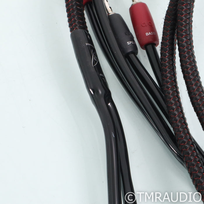 AudioQuest Rocket 33 Bi-Wire Speaker Cables; 10ft Pair