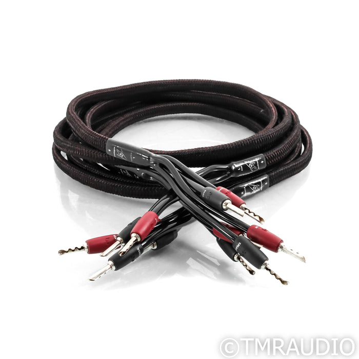 AudioQuest Rocket 33 Bi-Wire Speaker Cables; 10ft Pair