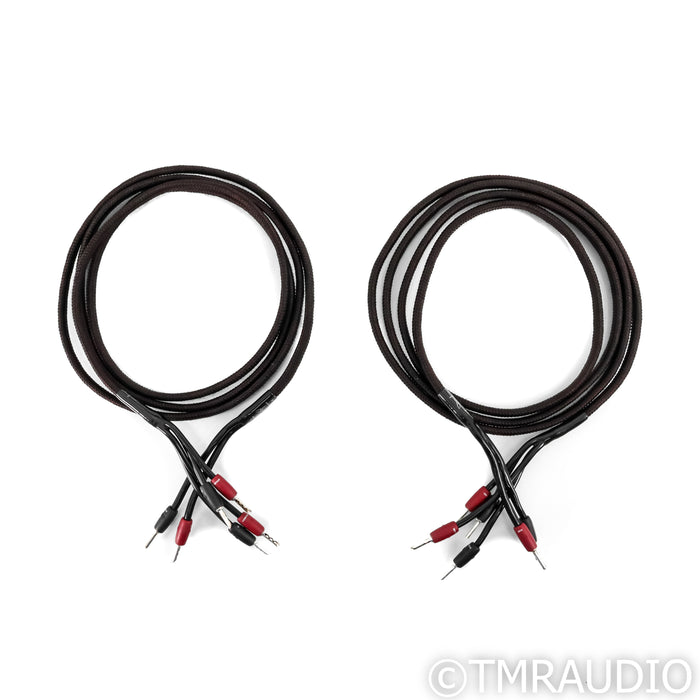 AudioQuest Rocket 33 Bi-Wire Speaker Cables; 10ft Pair