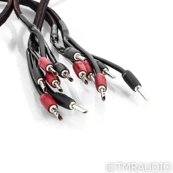 AudioQuest Rocket 33 Bi-Wire Speaker Cables; 10ft Pair
