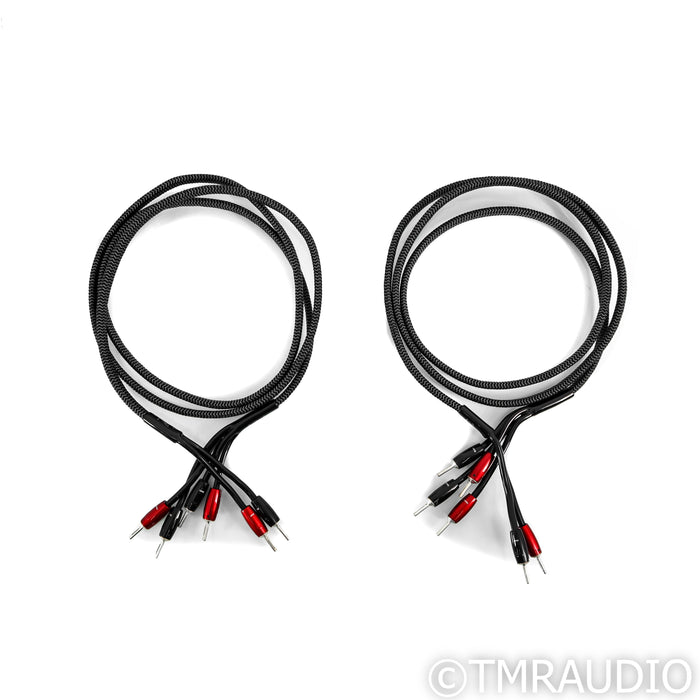 AudioQuest Rocket 44 Bi-Wire Speaker Cables; 8ft Pair