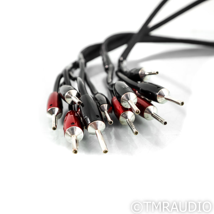 AudioQuest Rocket 44 Bi-Wire Speaker Cables; 8ft Pair