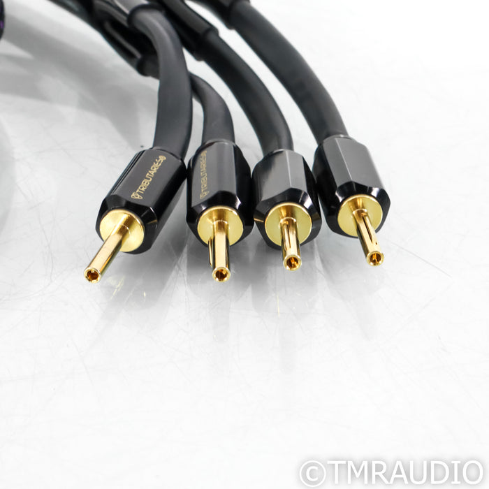 Tributaries Series 6 Speaker Cables; 6ft Pair