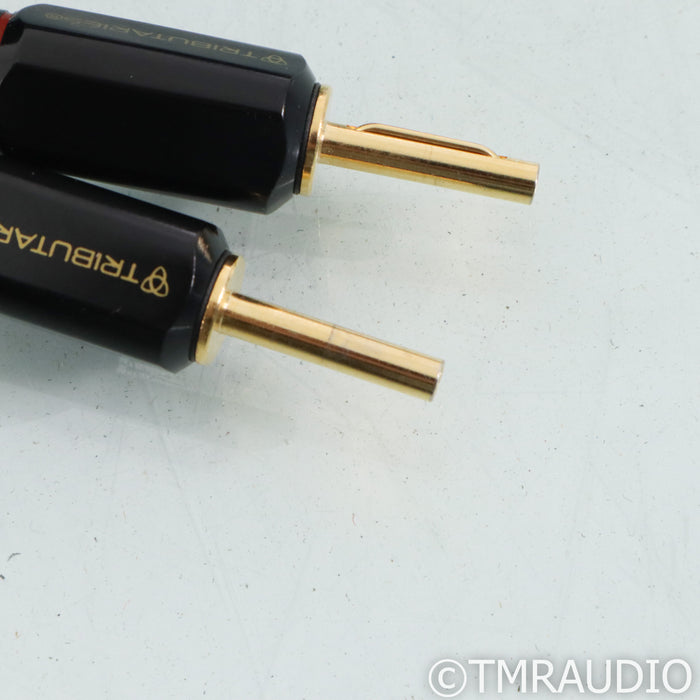 Tributaries Series 6 Speaker Cables; 6ft Pair