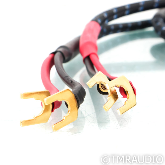 DH Labs Silver Sonic Q-10 Signature Speaker Cables; 10ft Pair