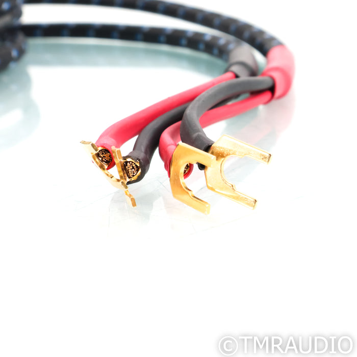 DH Labs Silver Sonic Q-10 Signature Speaker Cables; 10ft Pair