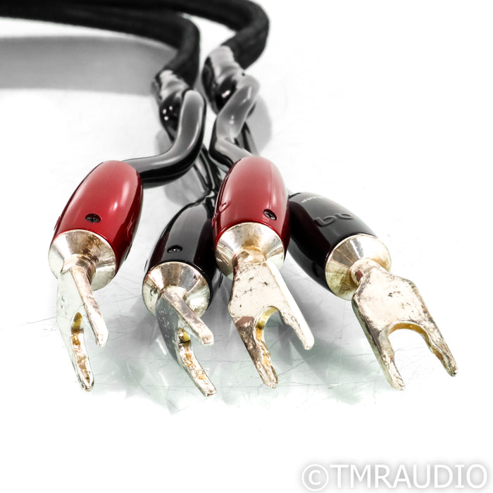 AudioQuest Rocket 88 Bi-Wire Speaker Cables; 6ft Pair; 72v DBS