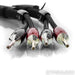 AudioQuest Robin Hood BASS Speaker Cables; 8ft Pair