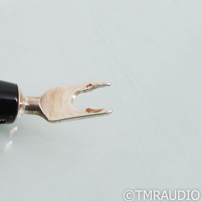 AudioQuest William Tell Zero Speaker Cable; 6ft Pair; 72v DBS