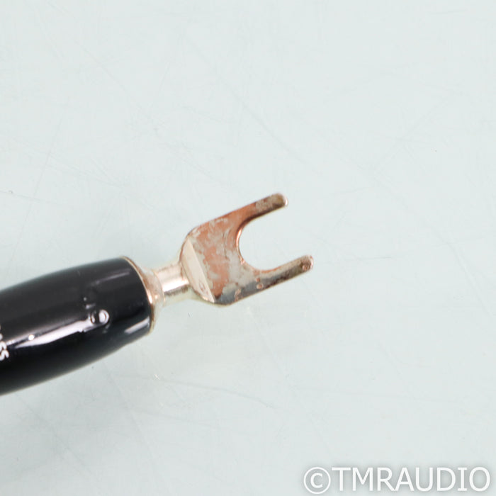 AudioQuest William Tell BASS Speaker Cables; 6ft Pair; 72v DBS